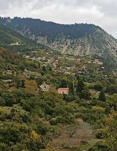To Oreino | Τσίπουρο με πιστοποίηση | Άρης Δημόπουλος